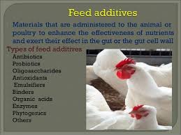 Poultry Feed Additives